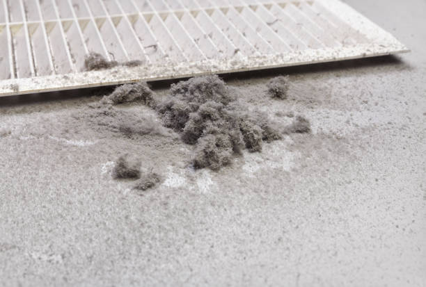 Best Air Vent Cleaning Services  in Diamond, IL