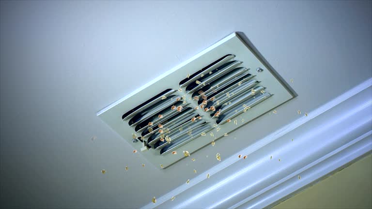 Best Best Air Duct Cleaning Company  in Diamond, IL