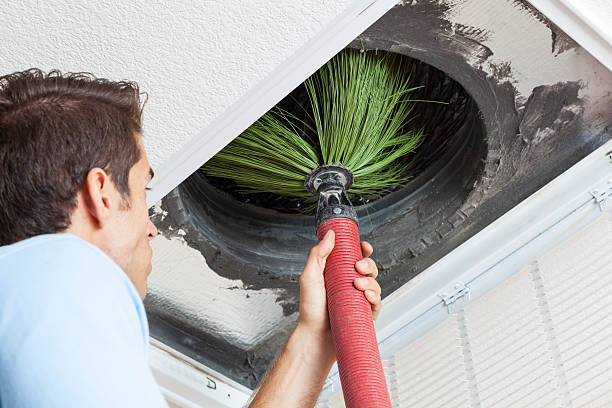 Best Air Duct Cleaning Near Me  in Diamond, IL
